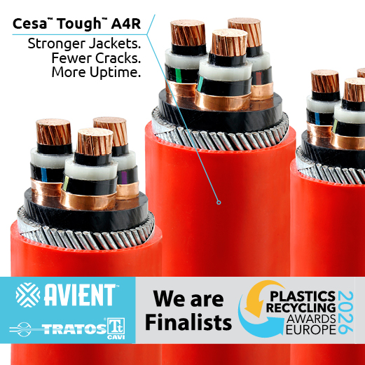 Finalist image