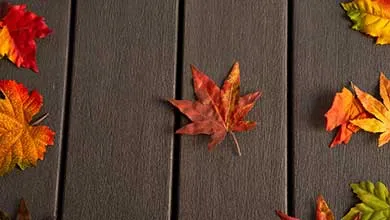 Red, orange, and yellow autumn leaves scattered on dark brown wooden deck planks.