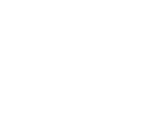 Management Approach: Supplier Collaboration Avient s value extends not only to consumers through specialty products,    